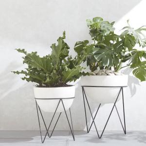 Vive les pots | Caza & Moore via Pinterest