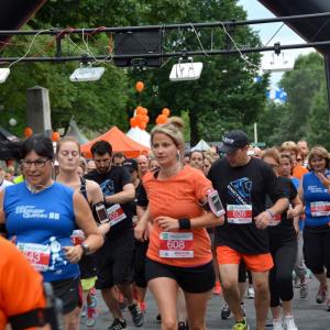 Agence Caza - Courses Festival de la Gibelotte 2016