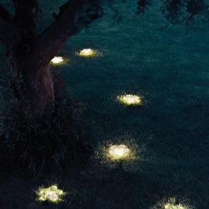 un jardin en lumiere | Caza & Moore via Pinterest