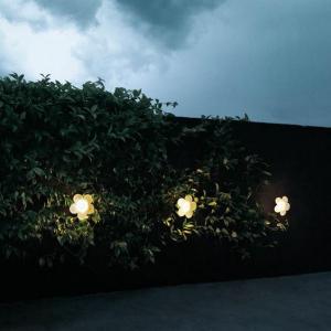 un jardin en lumiere | Caza & Moore via Pinterest