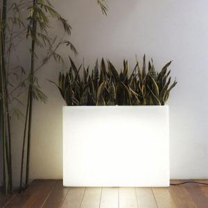 un jardin en lumiere | Caza & Moore via Pinterest