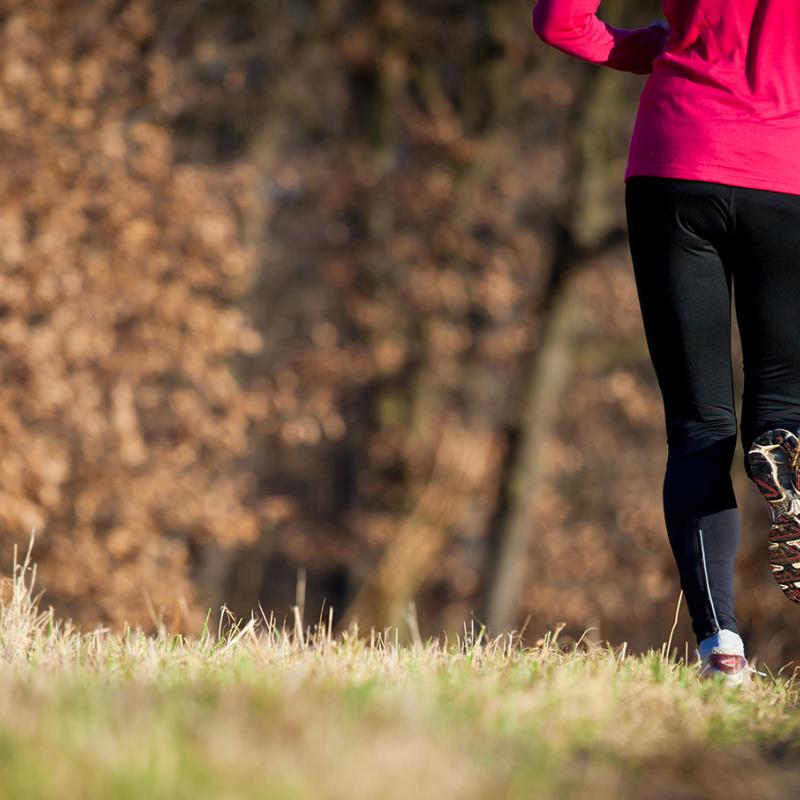 course automne sorel tracy