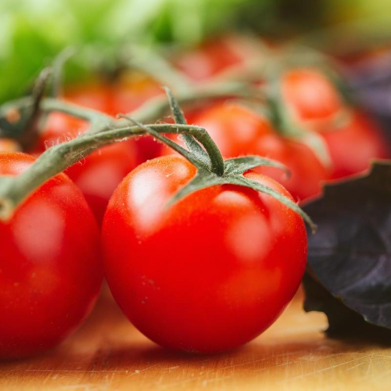 tomates