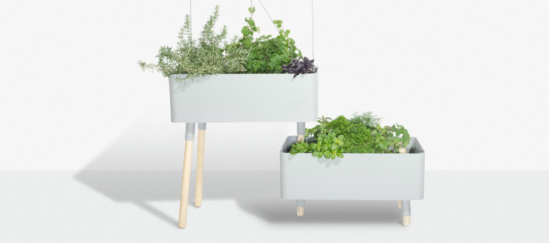 Vive les pots | Sorel-Tracy & Cie