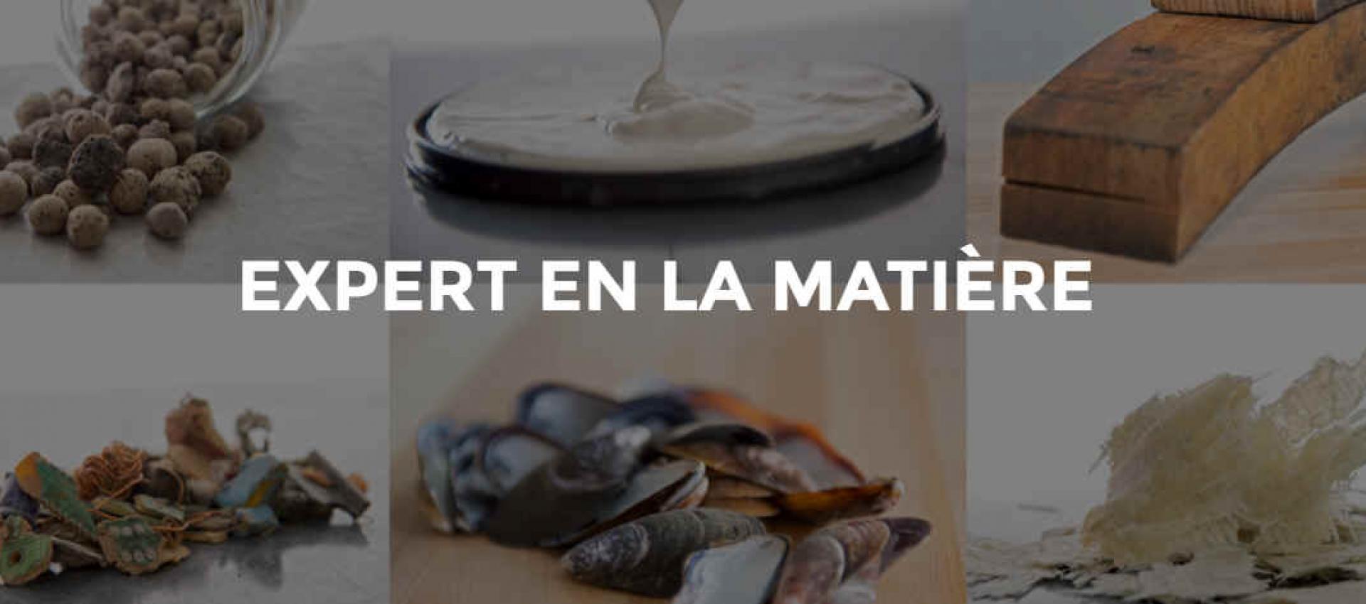 ecologie industrielle