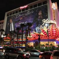 Vegas Flamingo Sorel Tracy et cie