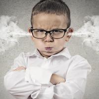 La montée de lait | Sorel-Tracy et cie