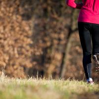 course automne sorel tracy