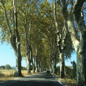autour-uzes-soreltracyetcie