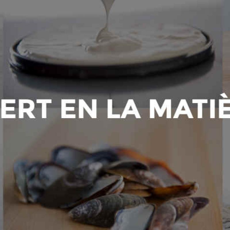 ecologie industrielle