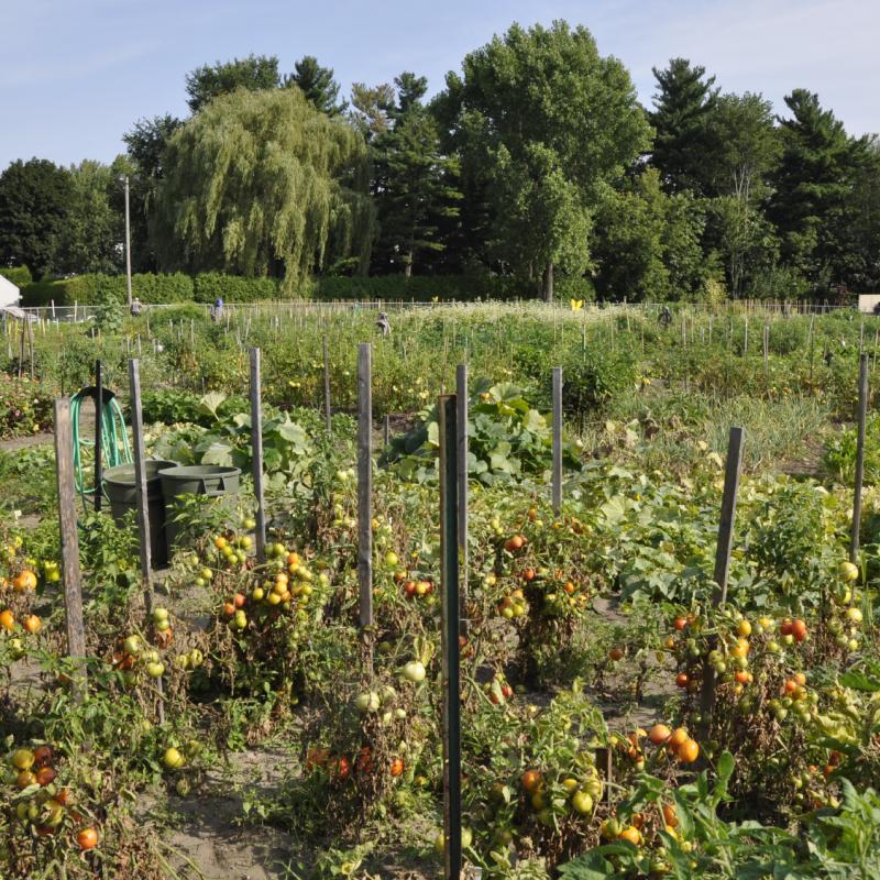 reouverture jardins communautaire soreltracy et cie