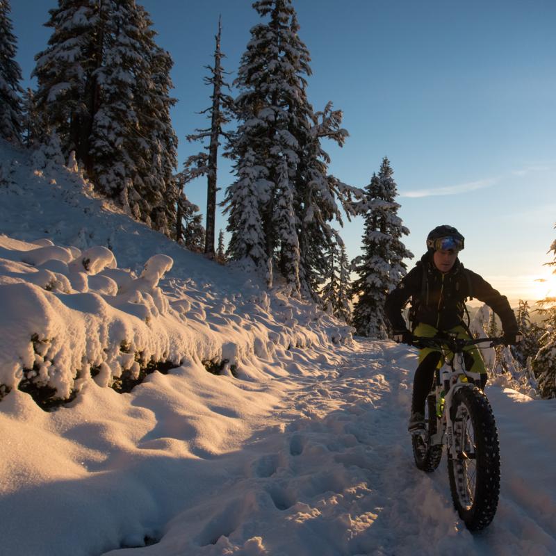 fat bike continental