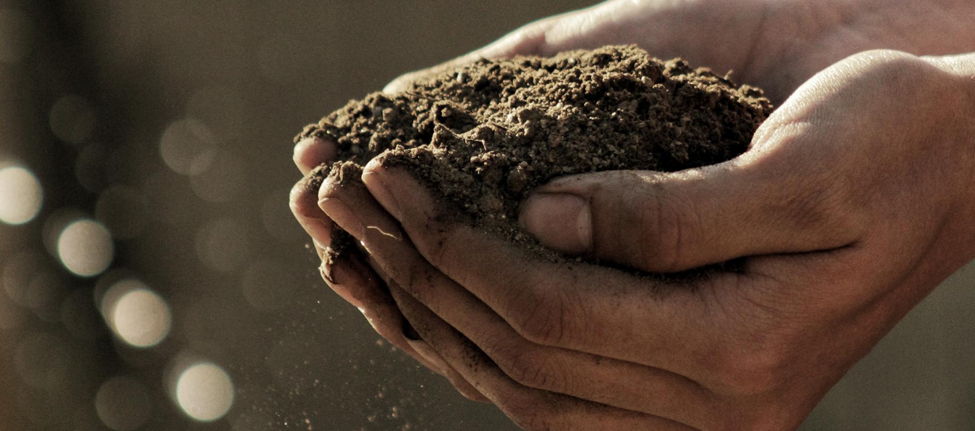 Sorel tracy et cie compost 2020 jour2