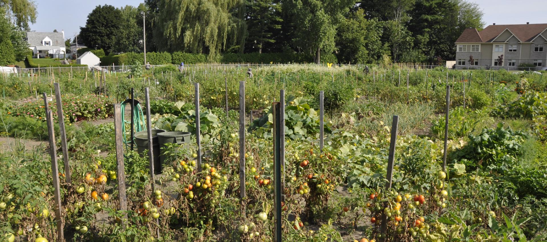 reouverture jardins communautaire soreltracy et cie