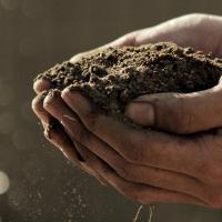 Sorel tracy et cie compost 2020 jour2
