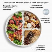 guide alimentaire