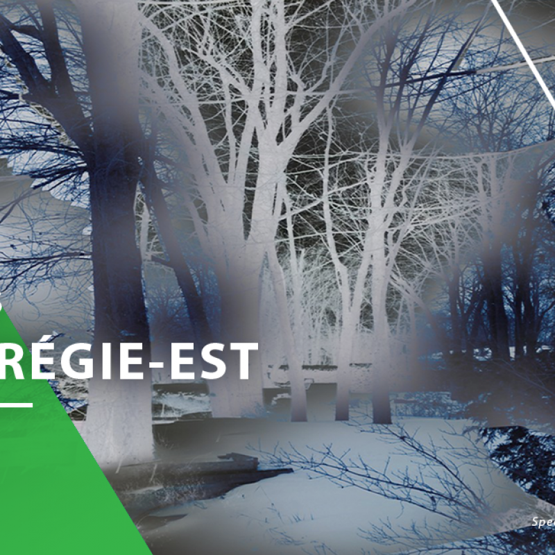 PROJET MONTEREGIE EST Sorel tracy et cie
