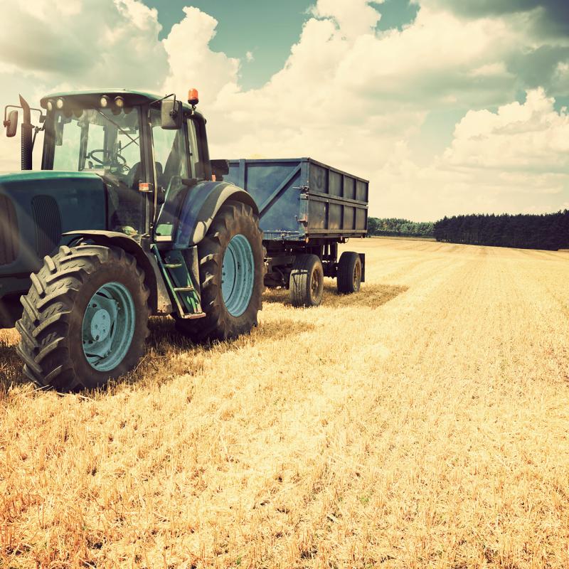 agricuture cegep sorel tracy varennes