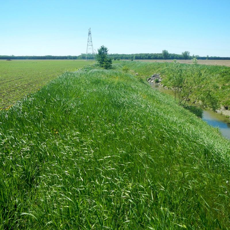 bande riveraine sorel tracy