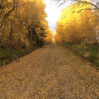 Laissez vos feuilles mortes au sol sorel tracy et cie