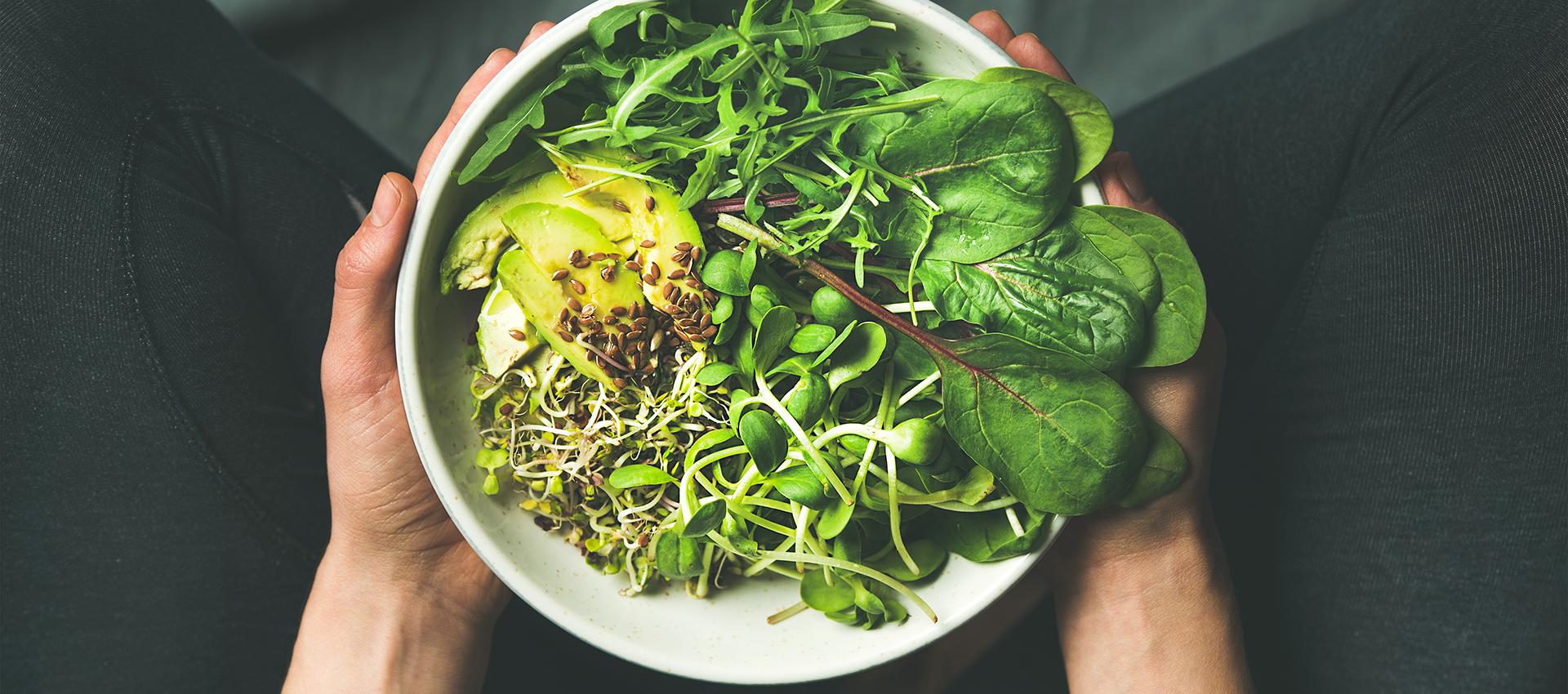 FestivalVeganeMTL Soreltracyetcie