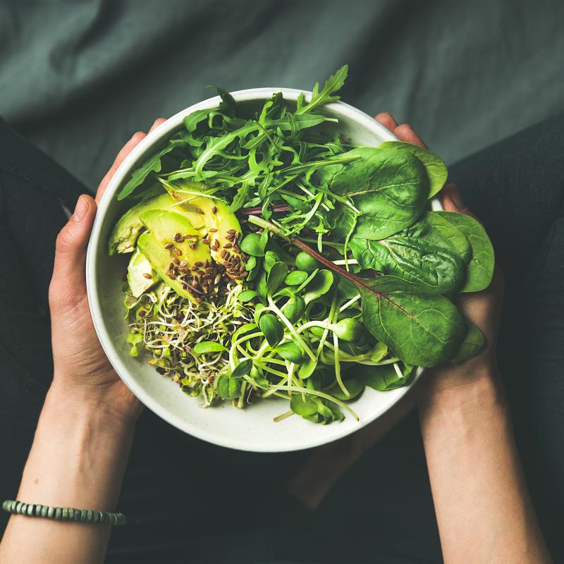 FestivalVeganeMTL Soreltracyetcie