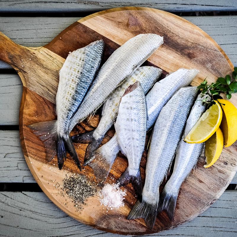 Poisson Nutrition SorelTracyCie
