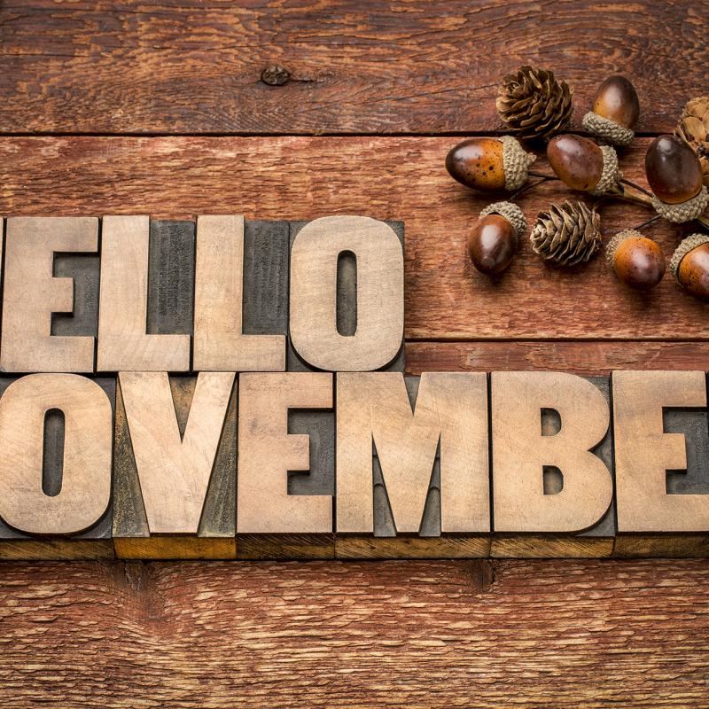 novembre soreltracyetcie