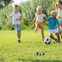 Chronique sport 13 Sorel tracy et cie