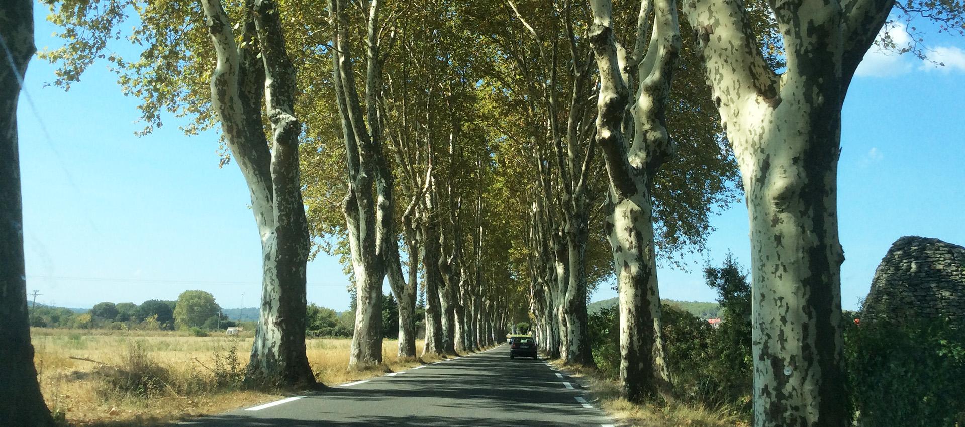 Route et paysage autour dUzes
