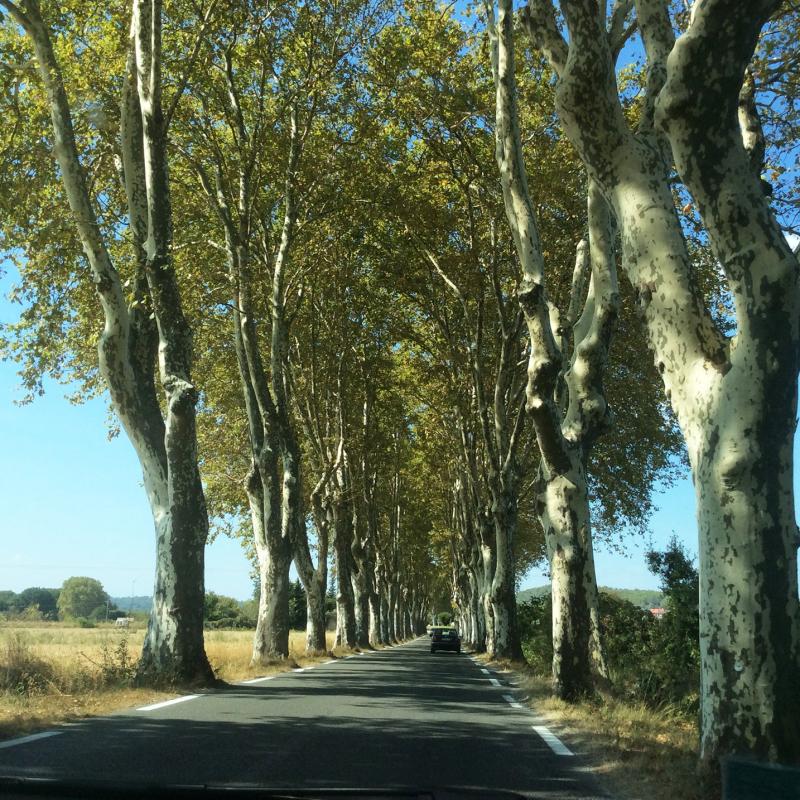 Route et paysage autour dUzes