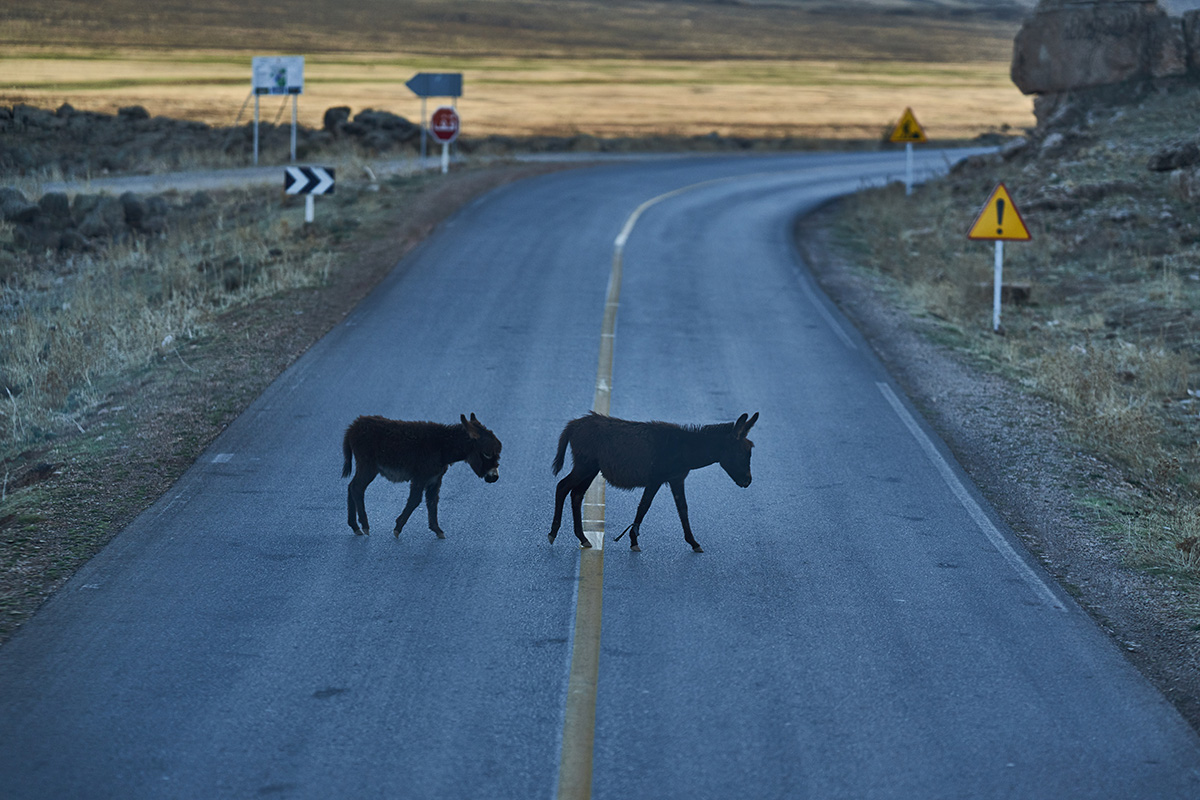 DSC01639 vers le desert