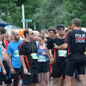 Agence Caza - Courses Festival de la Gibelotte 2016