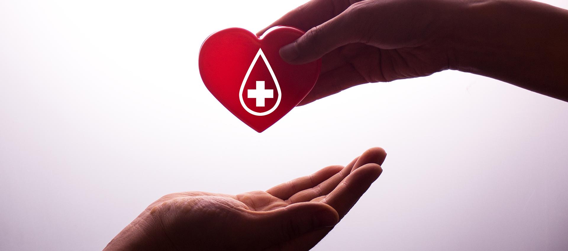 Collectesang cegep soreltracyetcie