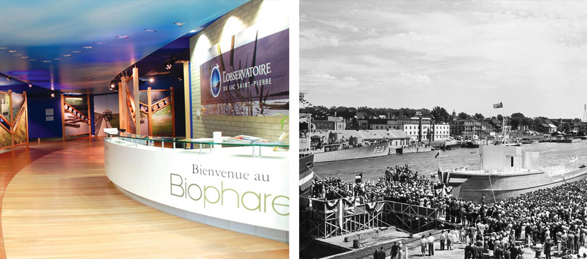 expositions biophare