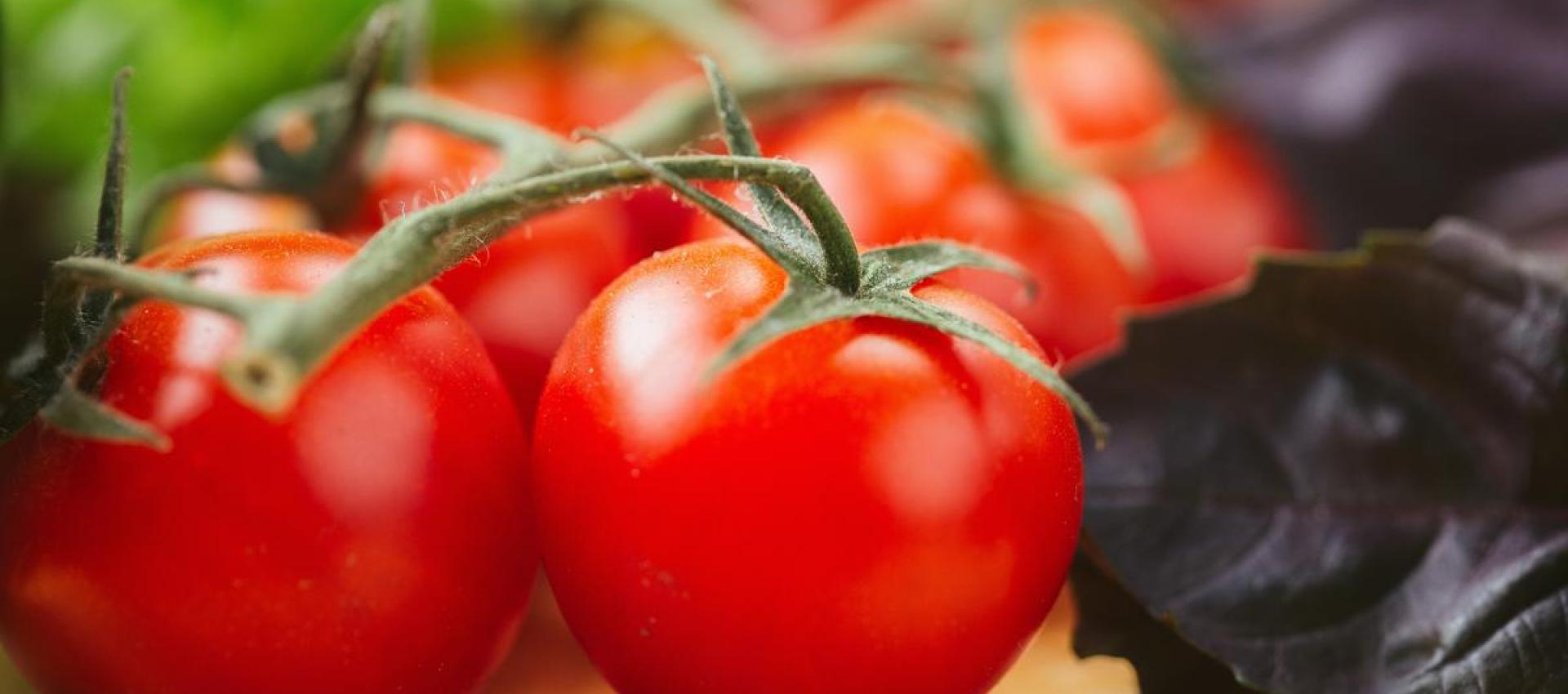 tomates