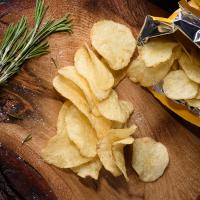 chips sorel tracy