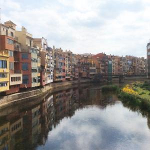 Gerone-soreltracyetcie