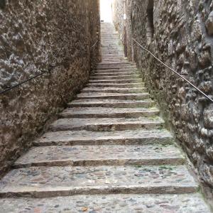 Gerone-soreltracyetcie