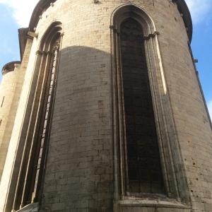 Gerone-soreltracyetcie