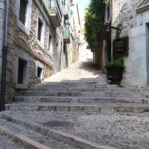 Gerone-soreltracyetcie