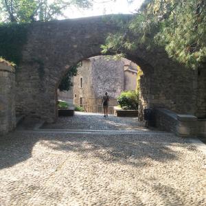 Gerone-soreltracyetcie