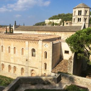 Gerone-soreltracyetcie