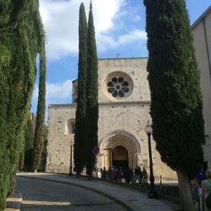 Gerone-soreltracyetcie