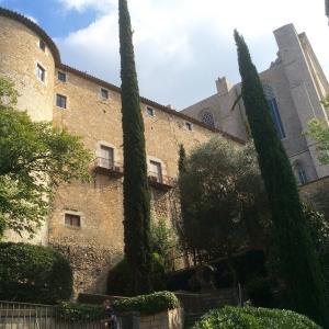 Gerone-soreltracyetcie