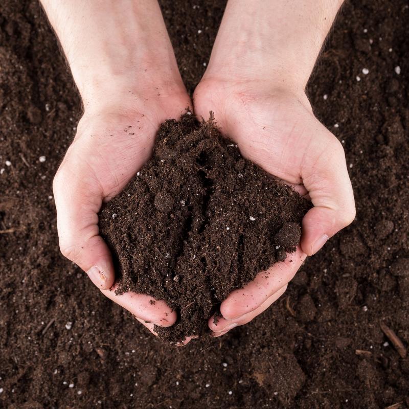 compost sorel tracy