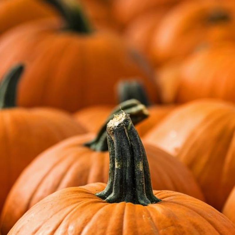halloween au Biophare | Sorel-Tracy et Cie