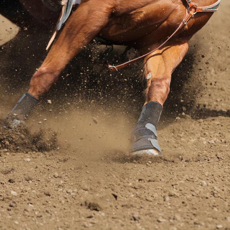 rodeo