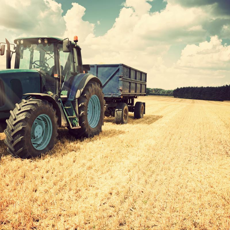 agricuture cegep sorel tracy varennes