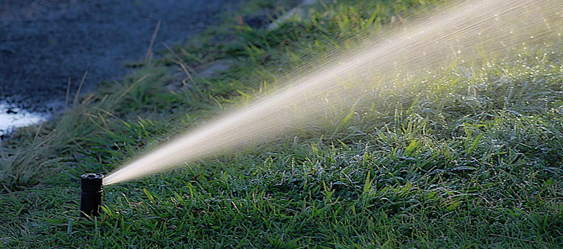 Soreltracy et cie arrosage